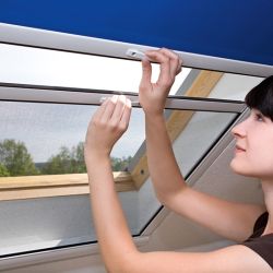 Dachfenster